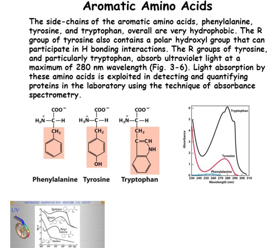 Aminoácidos aromáticos - o código da vida 3